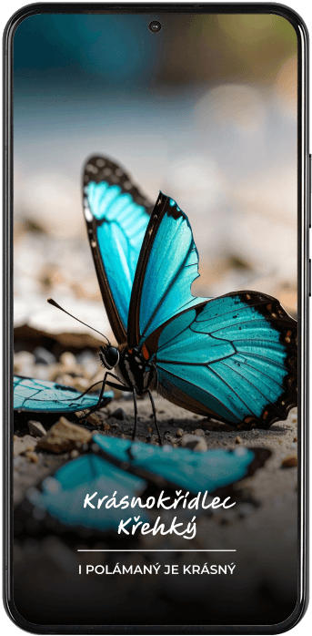 Důvěryhodnost značky UGC