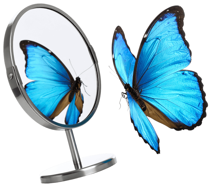 Rozšiřte svůj dosah na sociálních sítích pomocí férového spojení s influencery a UGC tvůrci.