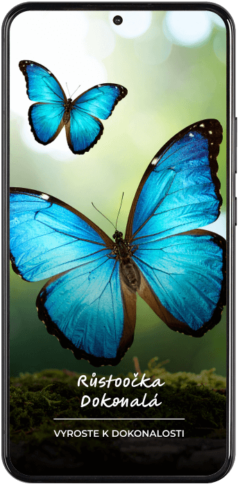 PPC reklama na mobilu